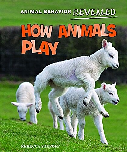 How Animals Play (Paperback)