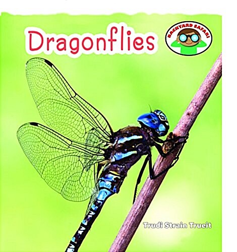 Dragonflies (Paperback)