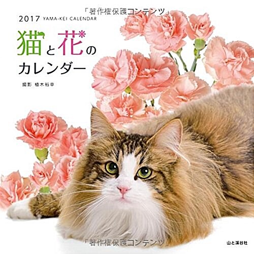カレンダ-2017 猫と花のカレンダ- (ヤマケイカレンダ-2017) (カレンダ-)