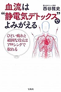 血流は“靜電氣デトックスでよみがえる (單行本)