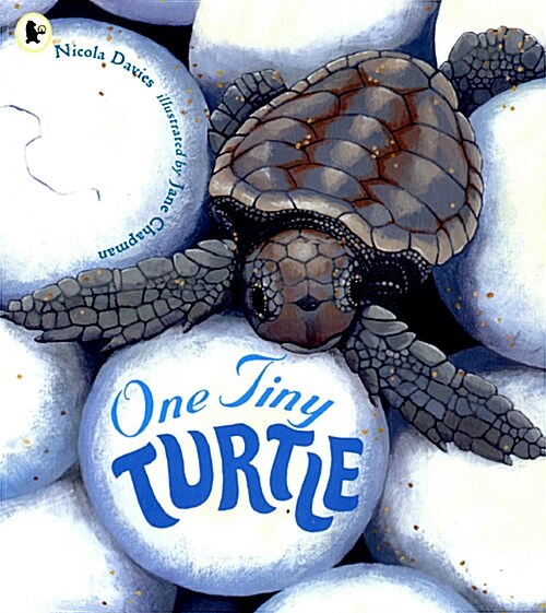 [중고] One Tiny Turtle (Paperback)