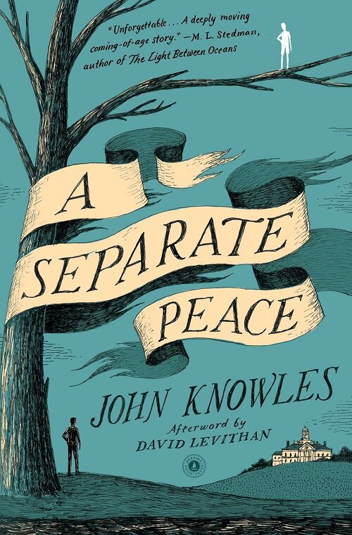 A Separate Peace (Paperback)