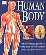 [중고] The Human Body (paperback)