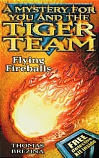 FLYING FIREBALLS (Paperback)