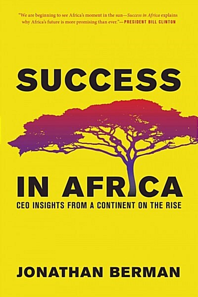 Success in Africa : CEO Insights from a Continent on the Rise (Hardcover)