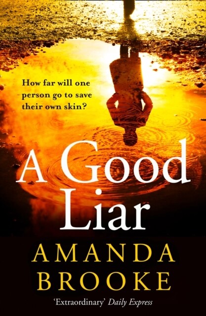 A Good Liar (Paperback)