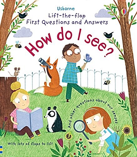 First Questions and Answers: How do I see? (Board Book)