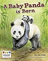 A Baby Panda is Born (Paperback)