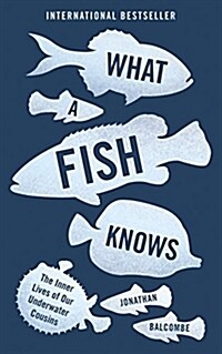 What a Fish Knows : The Inner Lives of Our Underwater Cousins (Paperback)