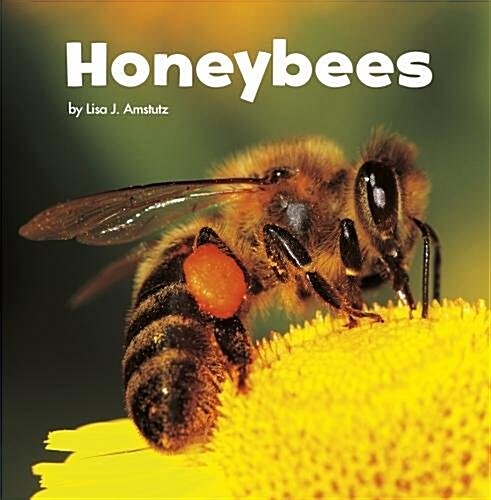 Honeybees (Hardcover)