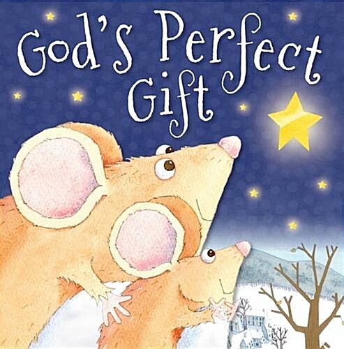 Gods Perfect Gift (Board Book)