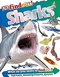 DKfindout! Sharks (Paperback)