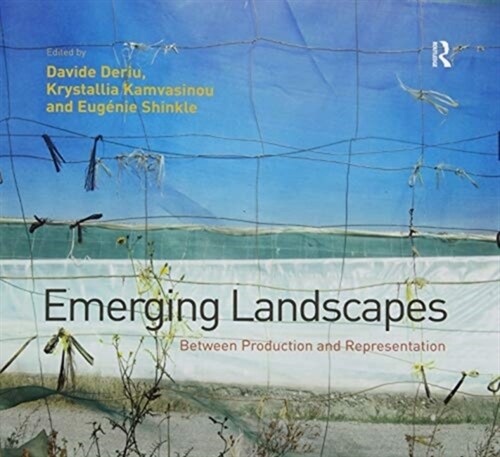 Emerging Landscapes : Between Production and Representation (Paperback)