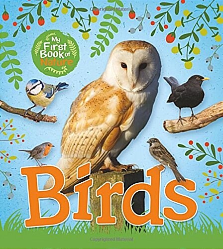 My First Book of Nature: Birds (Hardcover)