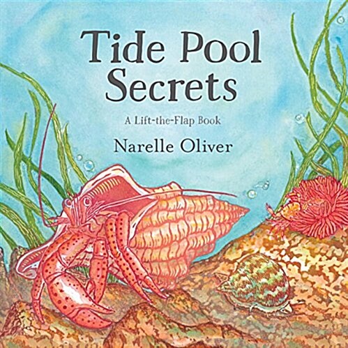 Tide Pool Secrets (Hardcover)