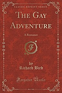 The Gay Adventure: A Romance (Classic Reprint) (Paperback)