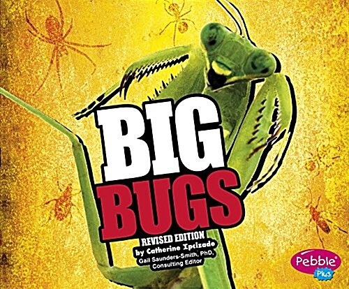 Big Bugs (Paperback)