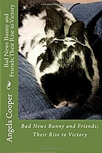 Bad News Bunny and Friends; Their Rise to Victory (Paperback)