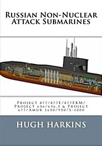 Russian Non-Nuclear Attack Submarines: Project 877/877e/877ekm/Project 636/636.3 & Project 677/Amur 1650/950/S-1000 (Paperback)