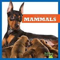 Mammals (Hardcover)