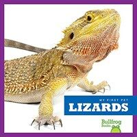 Lizards (Hardcover)