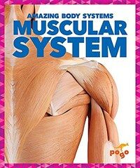 Muscular System (Hardcover)