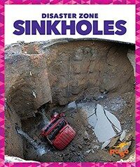 Sinkholes (Hardcover)