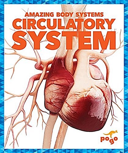 Circulatory System (Hardcover)
