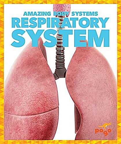 Respiratory System (Paperback)