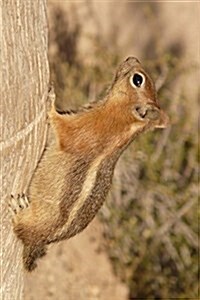 Golden Mantled Ground Squirrel Looking Out, for the Love of Animals: Blank 150 Page Lined Journal for Your Thoughts, Ideas, and Inspiration (Paperback)