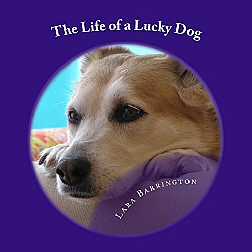 The Life of a Lucky Dog (Paperback)