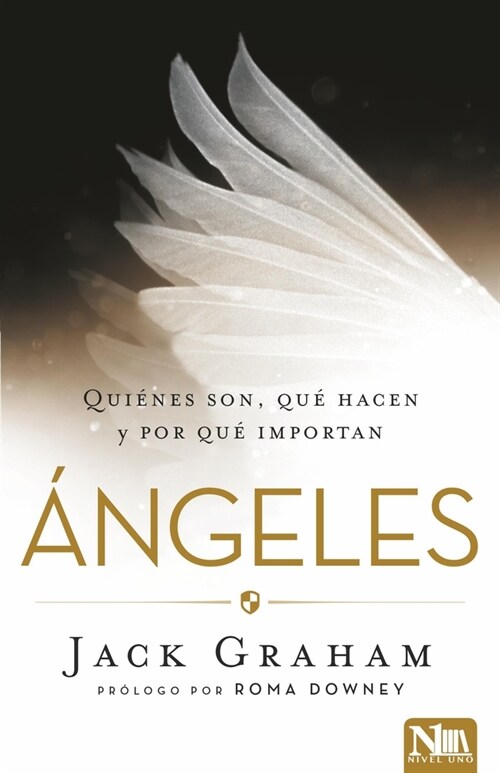 Angeles: Qui?es Son, Qu?Hacen Y Por Qu?Importa / Angels (Paperback)