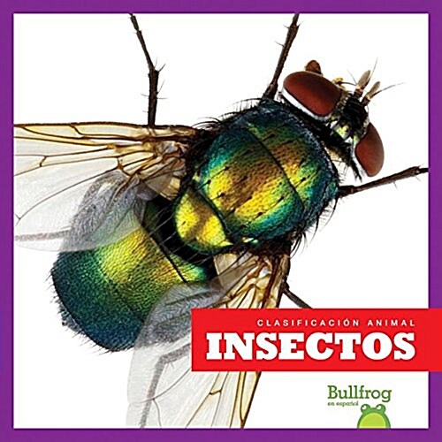 Insectos / Insects (Hardcover)