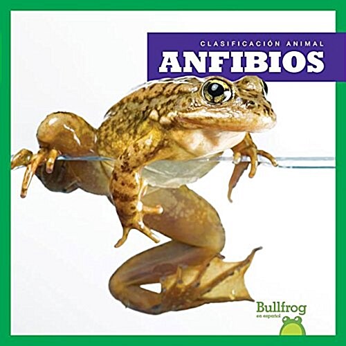 Anfibios (Amphibians) (Paperback)