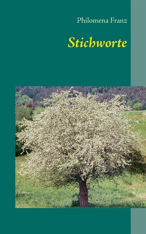 Stichworte (Paperback)