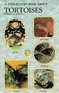 A Step-By-Step Book About Tortoises (Paperback)