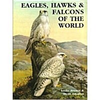 Eagles, Hawks and Falcons of the World (Hardcover)