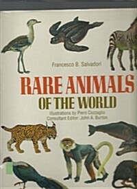 Rare Animals of the World (Hardcover)