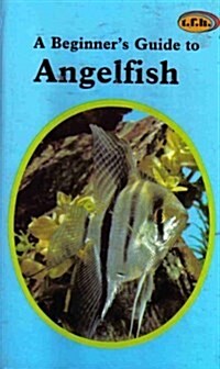 Beginners Guide to Angelfish (Hardcover)