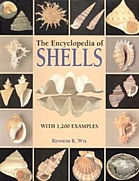 The Encyclopedia of Shells (Hardcover)