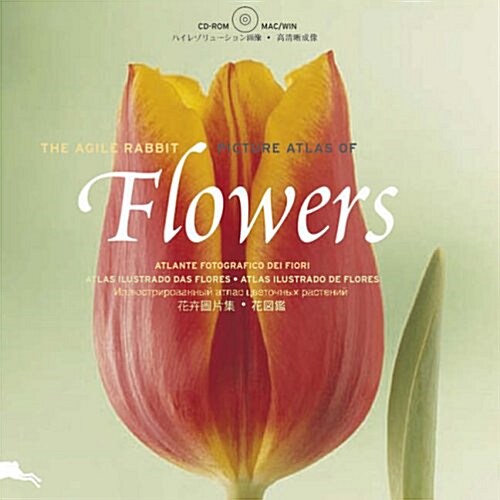 [중고] Flowers (Paperback, CD-ROM)
