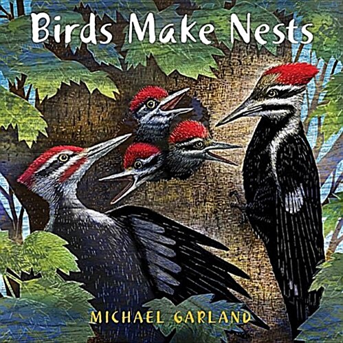 [중고] Birds Make Nests (Hardcover)