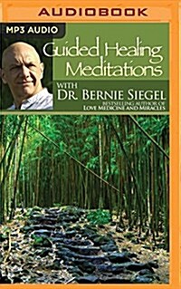 Guided Healing Meditations (MP3 CD)