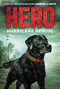 Hero: Hurricane Rescue (Paperback)