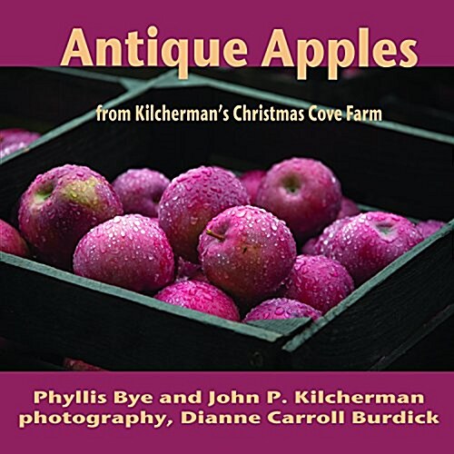 Antique Apples (Hardcover)