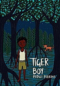 Tiger Boy (Paperback)