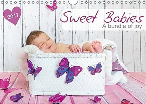 Sweet Babies - A Bundle of Joy 2017 : Loveable Little Companions to Lighten Up Your Year (Calendar)