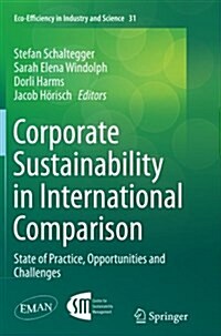 Corporate Sustainability in International Comparison: State of Practice, Opportunities and Challenges (Paperback, Softcover Repri)