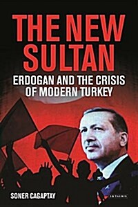 The New Sultan : Erdogan and the Crisis of Modern Turkey (Hardcover)