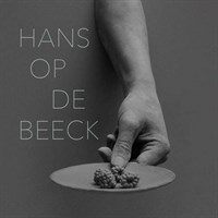 Hans Op de Beeck : works